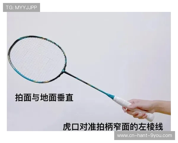 从零基础到高手之路羽毛球技术全方位提升指南